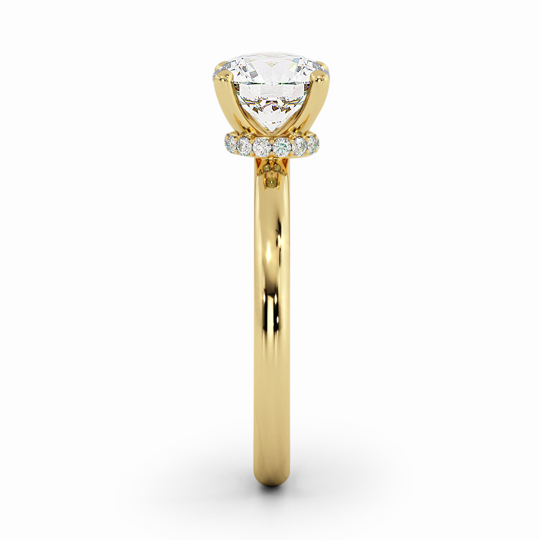 Wi Arabella Round 00006