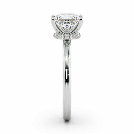 Wi Arabella Princess 00001 (1)