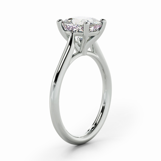 Wi Tulip Cushion 00002 (1)