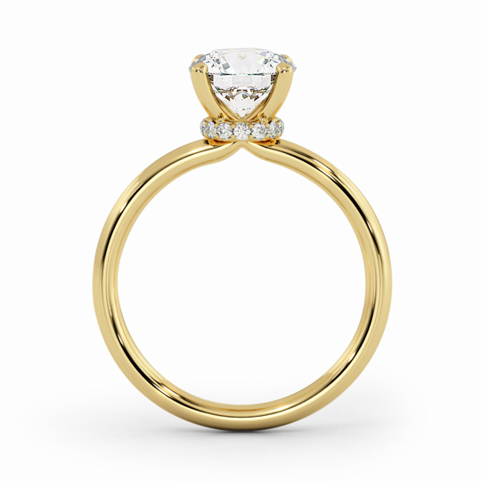 Wi Arabella Round 00005