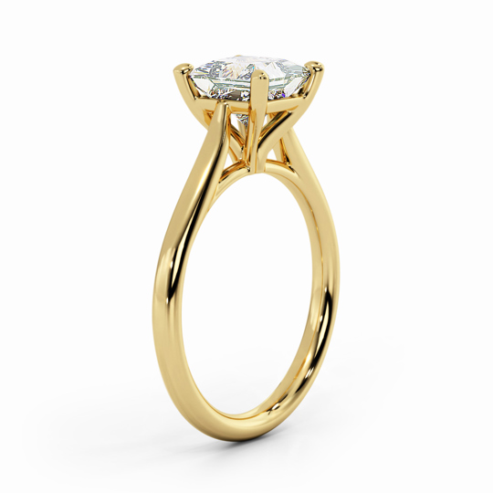 Wi Tulip Princess 00007