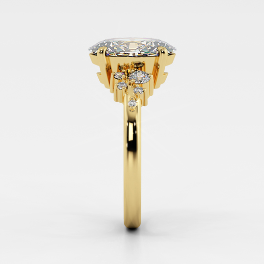 Savanah Arjun Bains Gjeffco 00006