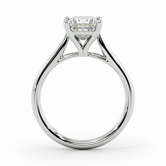 Wi Tulip Princess 00000 (1)