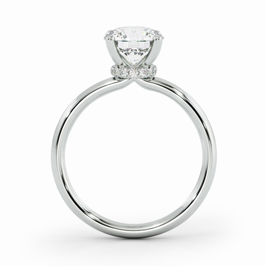 Wi Arabella Round 00000 1 (1)