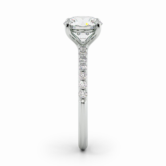 Wi Asteria Db Round 00001 (1)