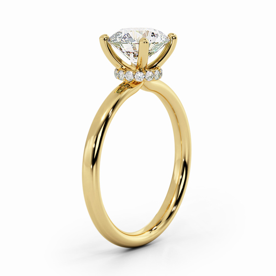 Wi Arabella Round 00007