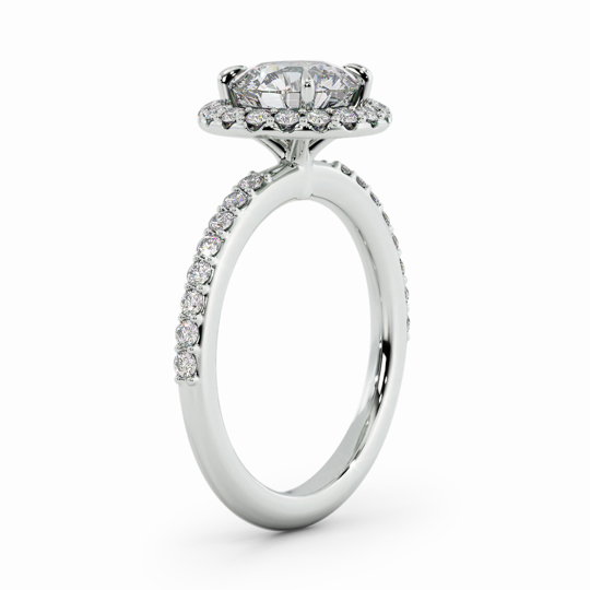 Wi Quintess Halo Round 00002