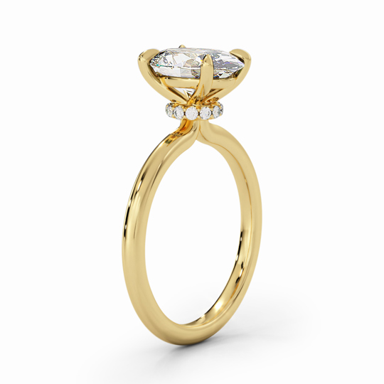 Wi Lucia Plain Princess 00007 1