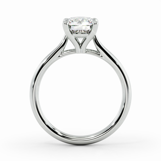 Wi Tulip Round 00000 (1)