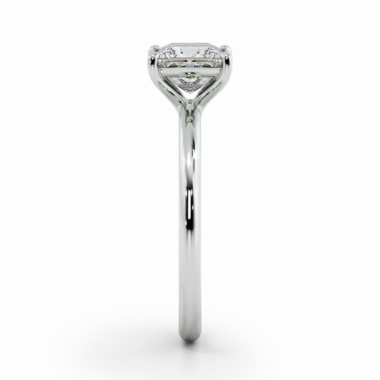 Wi Sorento Princess 00001 (1)