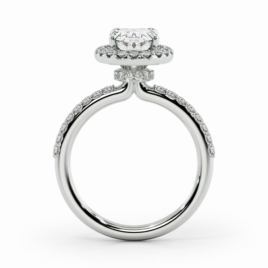 Wi Lucia Halo Round 00000