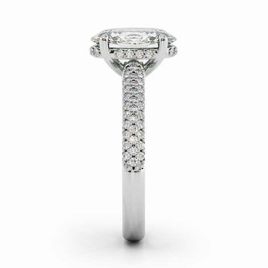 Wi Dior Oval 00001 (1)