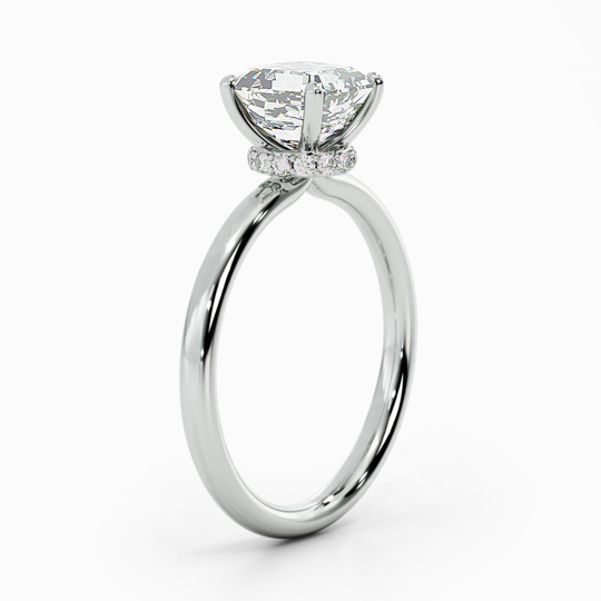 WI ARABELLA ASSCHER 00002