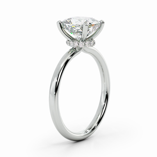 Wi Arabella Cushion 00002 (1)