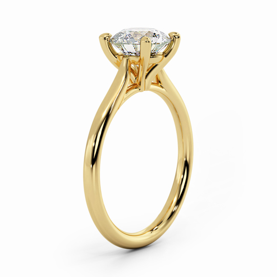 Wi Tulip Round 00007 1