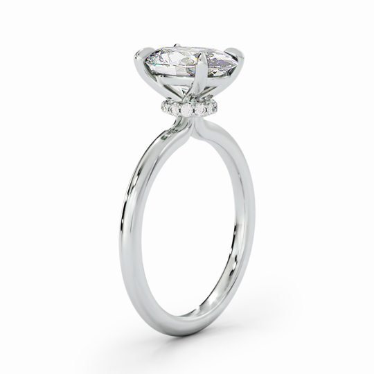 Wi Lucia Plain Princess 00002 1 (1)