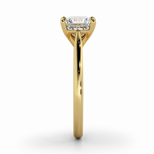 Wi Tulip Princess 00006