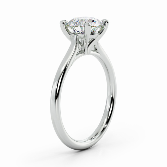 Wi Tulip Round 00002