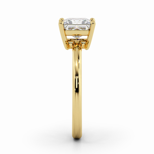 Wi Harmony Plain Princess 00006 1