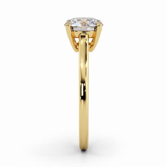 Wi Belle Round 00006