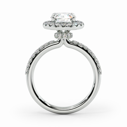 Wi Lucia Halo Round 00000 1 (1)