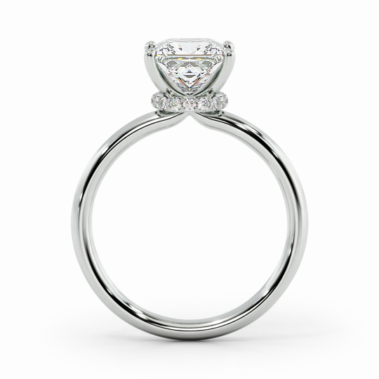 Wi Arabella Princess 00000