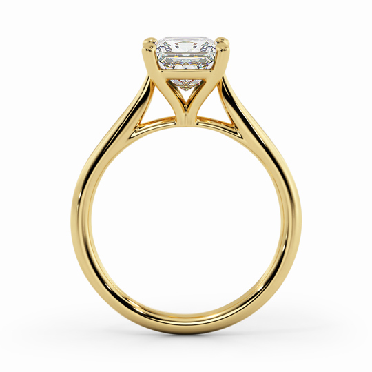 Wi Tulip Princess 00005