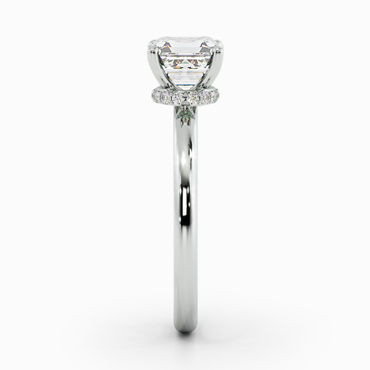 WI ARABELLA ASSCHER 00001