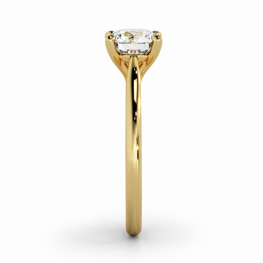 Wi Tulip Round 00006 1