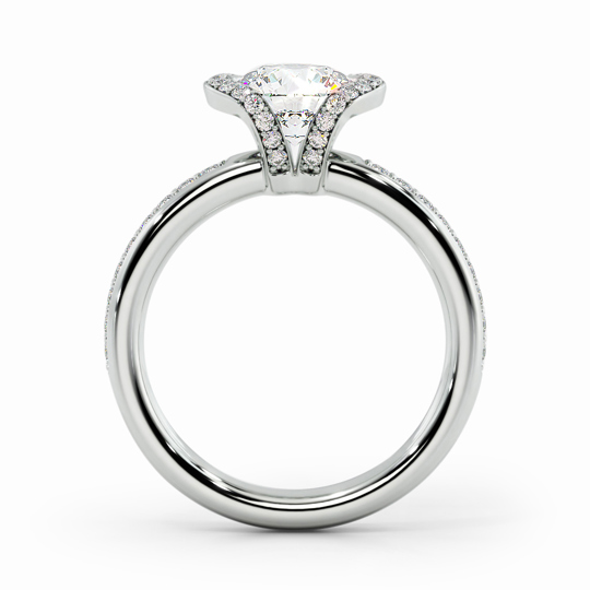 Wi Orion Round 00000 (1)