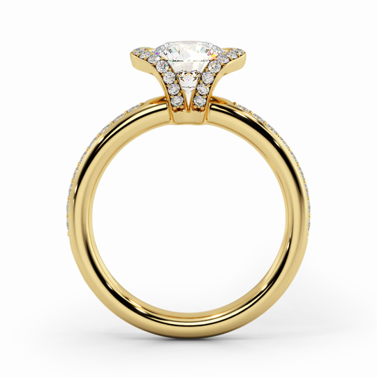 Wi Orion Round 00005