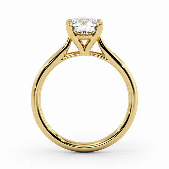 Wi Tulip Round 00005