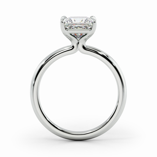 Wi Valentine Plain Princess 00000 (1)