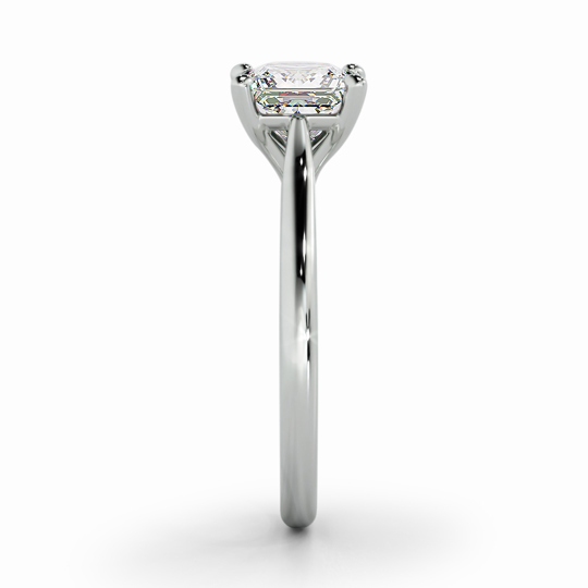 Wi Tulip Princess 00001