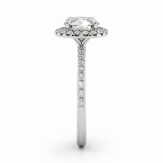 Wi Quintess Halo Round 00001 (1)