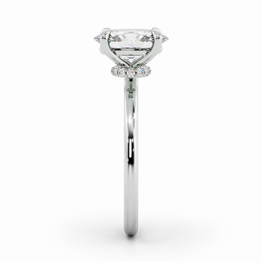 Wi Lucia Plain Princess 00001 1