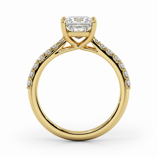 Wi Soleste Princess 00005