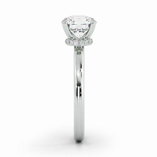 Wi Arabella Round 00001 (1)